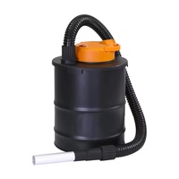 Aspirateur à cendres chaudes cyclonique sans sac portable électrique 600W 12L avec filtre HEPA pour foyer et nettoyage domestique à sec
