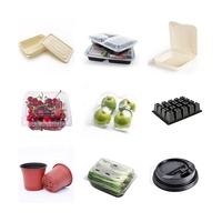 Machine de thermoformage entièrement automatique pour contenants alimentaires jetables en PVC/PP/PET/PS, avec moteur, chauffage céramique, écran tactile et pompe