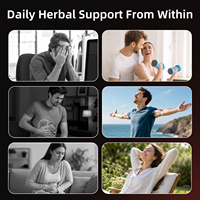 Capsules d'extrait d'herbes naturelles OEM Berberine HCl Chlorhydrate de haute qualité 500mg 1000mg – Complément de Berberine Naturelle en Capsules