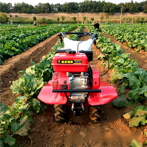 Motoculteur à deux roues pour l'agriculture, le déchaumage des vergers, le creusement de fossés et le désherbage - Product Image 5
