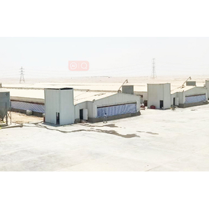 Construcción integral Anti-rata Bird Layer Broiler Chicken House Granja avícola para 10000 pollos Granja ecológica Limpieza <span class=keywords><strong>de</strong></span> heces - Product Image 1