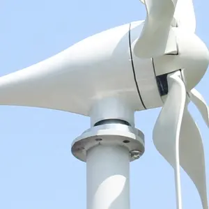 좋은 품질 generador de turbina eolica를 가진 폴란드 창고 재생 가능 에너지 전기 800W 고능률 풍차