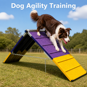 Equipo de Entrenamiento de Agilidad para Perros de Aluminio, Set de Obstáculos en Forma de A para Deportes Caninos, Venta al Por Mayor, Suministro OEM - Product Image 2