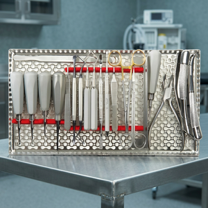 Juego de Instrumentos Dentales Veterinarios, Juego de Herramientas de Odontología para Perros de Acero Inoxidable para Clínica, Reutilizable - Product Image 2
