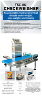 Máquina Automática de Control de Peso de Alta Velocidad, Verificador de Peso en Línea para Línea de Producción, Controlador de Peso Preciso, Soporte OEM/ODM