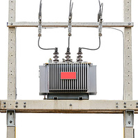 Transformador de Distribución de 100 KVA 125 kVA, 11 kV a 380 V 220 V 50/60 Hz, Sumergido en Aceite, con Certificación CE, Precio de Fábrica
