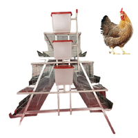 Soluciones para Jaulas de Pollos en Estado Nuevo para la Producción de Carne y la Optimización de Granjas