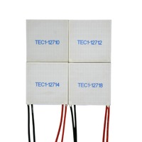 Pièce de réfrigération Peltier en céramique 12V TEC1-12702-40-40 pour la réfrigération des instruments PCR, résistance aux hautes températures, électronique