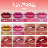 Handaiyan — ensemble de rouges à lèvres oem, 12 couleurs, mat vegan, tube de gloss personnalisé, étanche, longue durée