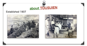 ชาเขียวบริสุทธิ์จากญี่ปุ่น100%