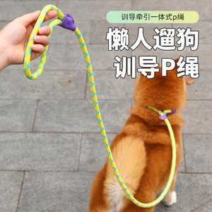 Correa para perros, cadena tipo P, antiexplosión, cadena tipo P ajustable para perros medianos y grandes, imprescindible para pasear y correalear a los perros. - Product Image 2