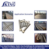 Connecteurs de cisaillement durables IKING pour la construction de ponts et de bâtiments