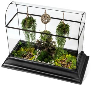 Grand <span class=keywords><strong>kit</strong></span> de jardin de récipients <span class=keywords><strong>en</strong></span> verre de terrarium de plante d'intérieur comme serre de plancher de cadeau de mariage unique pour le conteneur de plante d'orchidée - Product Image 3