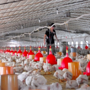 Ember plastik pemberi makan unggas, peralatan peternakan unggas RS-74, ember pemberi makan ayam - Product Image 6