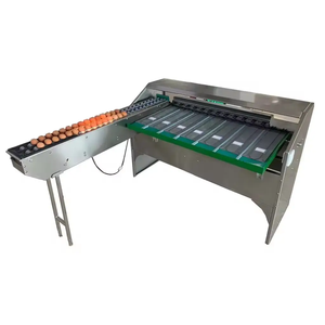 110V Large Budget Stainless Steel <b>Egg</b> & Fruit Washer Weight Grader and Packer <b>Machine</b> Automatic 4000 Per Hour - Product Image 6