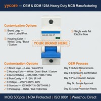 Interruptor Automático Industrial de Servicio Pesado 1P MCB 400V 125A 6kA Curva BCD C AHL30-125 AC-22A IEC60947-3 IP20 CE CCC OEM ODM