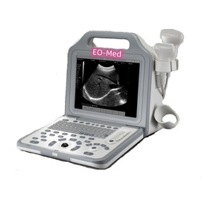 Appareil d'échographie chinois BW21B, scanner d'échographie vétérinaire portable noir et blanc - Product Image 1