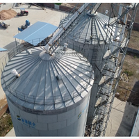 Silos per Cereali a Prezzo di Fabbrica in Acciaio Zincato a Caldo con Cono a Tramoggia per Stoccaggio di Cereali Sfusi e Chicchi di Caffè
