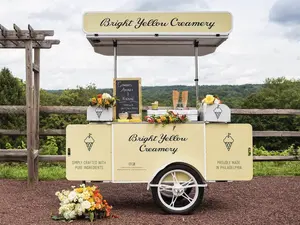 2024 Popular Outdoor Ice Cream Cabinet Display Push Cart Ice Cream Showcase With Factory Price