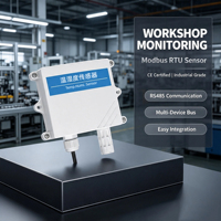 Transmisor de Temperatura y Humedad Industrial de Alta Precisión, Montado en Pared, RS485 Modbus, Sonda Externa Opcional, Pantalla Opcional, para Invernadero