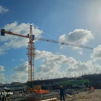 Grue à tour de construction compacte 3T 42M avec cylindre hydraulique, limiteur de charge, moteur d'engrenage de tourelle et convertisseur de fréquence