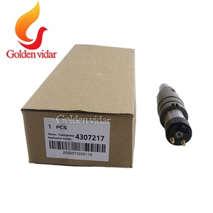 Золотой видар высокого качества Common Rail дизельный топливный инжектор для Sca-nia XPI DC09 DC13 4307217 для Cummins - Product Image 3