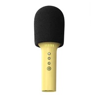 Microphone de karaoké sans fil à main BT pour le divertissement