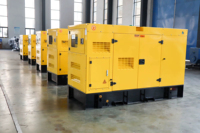 Chinesische Marke Dieselgenerator Yangdong 12kW 15kW 20kW 22kW 24kW 30kW Leiser Dieselgenerator zum Fabrikpreis