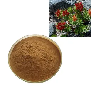 도매 Rhodiola Rosea 분말 수용성 Rhodiola 추출물 분말