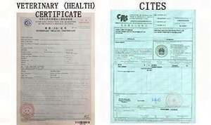 <span class=keywords><strong>Plumeau</strong></span> de dinde de couleur naturelle teint <span class=keywords><strong>rose</strong></span> pas cher écologique réutilisable pour les fournitures de nettoyage maison voiture bureau - Product Image 6