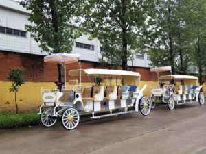 Buggy victoriano de boda de 220V tirado por <span class=keywords><strong>caballos</strong></span>, elegante carruaje de <span class=keywords><strong>caballos</strong></span> para ocasiones especiales y camiones de comida - Product Image 4