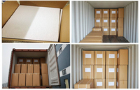 Capsules Vides Végétales HPMC Transparentes, Tailles 00 0 1 2 3 4, Capsules de Gélatine Vides Séparées