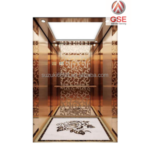 चीन लिफ्ट निर्माता लिफ्ट कंपनियों 800kg यात्री लिफ्ट खरीदने गुआंग्डोंग से GSE लिफ्ट कंपनी - Product Image 4