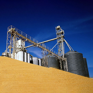 Bremetz verticale cereale acciaio stoccaggio Silo 500/1000/10000 tonnellata di capacità prezzi competitivi - Product Image 4