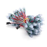 Canal Lettre Décoration Led Pixel Lumière RVB 2024 Tendance Extérieur Couleur Led Pixel Ws2811 12mm 5v Noël IP67 Guangdong 80