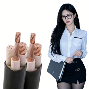 <span class=keywords><strong>สาย</strong></span>ไฟฟ้าใต้ดินแบบมีเกราะเหล็ก/เทป 3 แกน 4 แกน 5 แกน ขนาด 16 มม. 25 มม. 35 มม. 95 มม. 5x50 70 ตร.มม. ทองแดง CU/PVC/XLPE YJV22 - Product Image 2