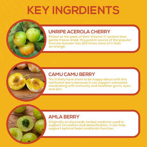 Cápsulas de Vitaminas de Bayas de Marca Privada de Alta Calidad, Suplementos Dietéticos Fáciles de Absorber para Mejorar el Sistema Inmunológico - Product Image 5