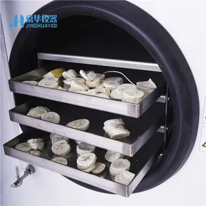 Fruit And Vegetable And Meat Vacuum Freeze Drying Machine Food Freeze Dryer