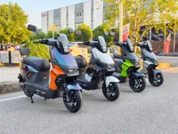 Scooter électrique pour adultes Star Shark II 800W, fourni directement par l'usine, avec batterie 60V/72V 30Ah