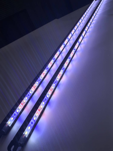 Barre lumineuse <span class=keywords><strong>LED</strong></span> tricolore 2835 pour <span class=keywords><strong>aquarium</strong></span>, 24V, étanche IP67, longueur personnalisable, <span class=keywords><strong>lampe</strong></span> fine pour <span class=keywords><strong>aquarium</strong></span> domestique - Product Image 3
