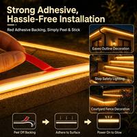 Bande LED COB SK6812 IP68 avec télécommande, colle silicone solide, DC24V/12V, Ra80, 600lm/m, éclairage linéaire extérieur commercial et municipal