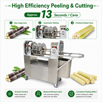 Industriële suikerrietenschilmachine 1500W Automatische rietschiller voor fruitwinkels en drankenwinkels