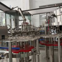 Machine d'emballage entièrement automatique pour bouteilles d'eau pure, usine de production d'eau en verre haute performance à vendre
