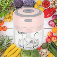 250ML Elektrische Mini Knoflookhakker Roestvrijstalen Voedselverwerker voor Fruit Groenten Vlees Salade Grinder Stamper Snijder