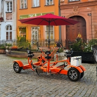 Vélos de fête personnalisés à une vitesse pour les excursions touristiques, 4 roues, bar mobile à pédale, chariot de vente de bière