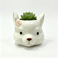 OEM ODM Nouveau Pot à Succulentes en Céramique 3D Créatif Chien Chat Mignon, Pot de Fleurs en Porcelaine Personnalisé Motif Animal Dessin Animé pour Bureau