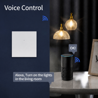 Interrupteur intelligent Smart Life avec contrôle WiFi Alexa/Google Assistant 250V 10A compatible en Malaisie/Singapour/Thaïlande