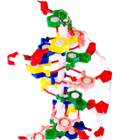 Modèle de double hélice d'ADN, modèle scientifique médical coloré pour l'éducation et l'exposition