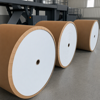 Papier Thermique de Qualité Supérieure 45/48/55/60/65/70/80 g/m² en Rouleau Jumbo Largeur 400/565/795/844/875 mm pour le Découpage et la Conversion