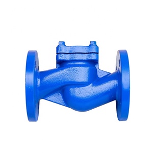 Válvula de Retención de Hierro Fundido Tipo Elevador, Estándar DIN - Product Image 1